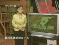 视频:CCTV走近科学-小神算背后