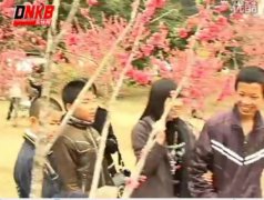收藏春天——东快踏春行陪同自闭症孩童赴森林公园赏花